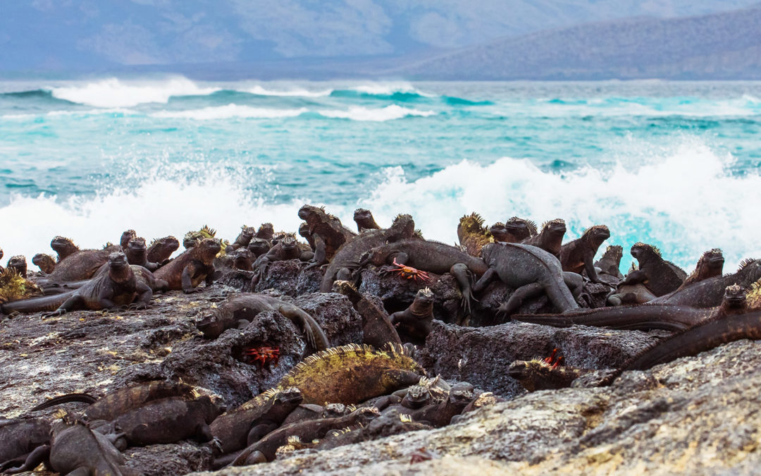 Galápagos, Ecuador