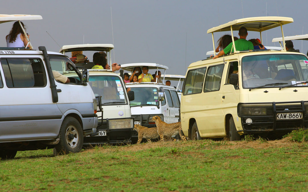 Masai Mara