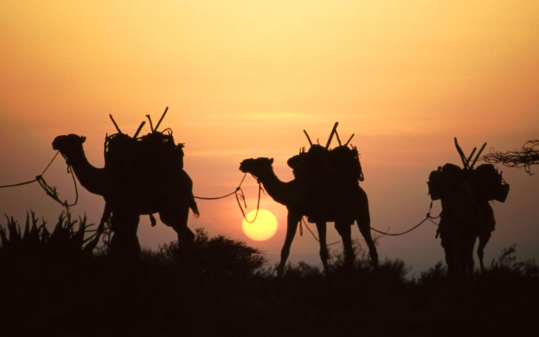 Jenseits der Wüste: Marsabit